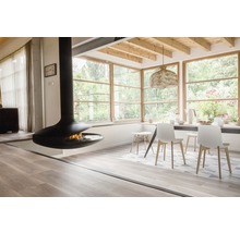 Helles Wohnzimmer mit freistehendem Kamin, Esstisch und Stühlen.