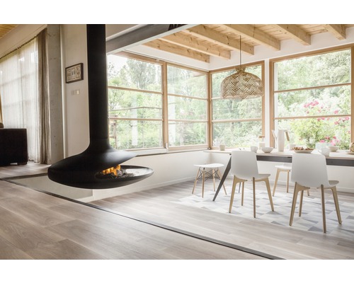 Helles Wohnzimmer mit freistehendem Kamin, Esstisch und Stühlen.