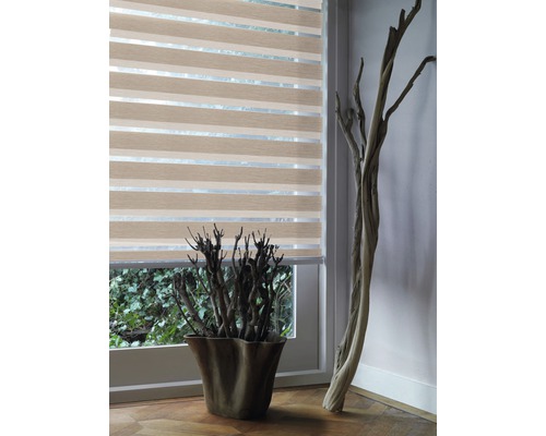 Gestreiftes Doppelrollo vor Fenster mit Pflanze und Dekoration