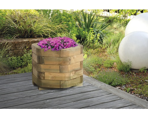 Holzblumenkasten mit violetter Bepflanzung im Garten