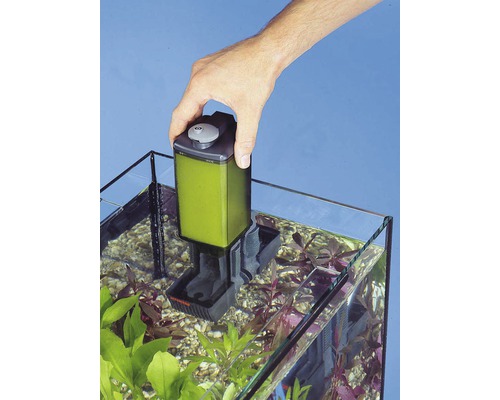 Aquarium Innenfilter im Einsatz