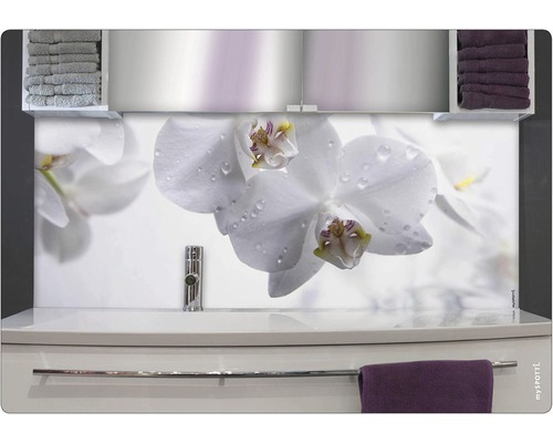 Badrückwand mySpotti Aqua orchid 900x450x2 mm 150901 weiß