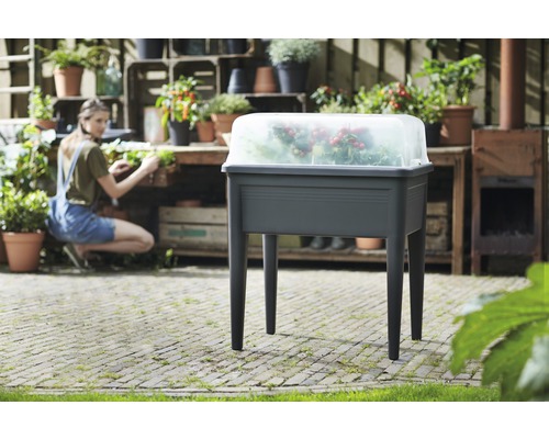 Hochbeet mit transparenter Abdeckung und bepflanzt mit Gemüse, im Garten platziert.