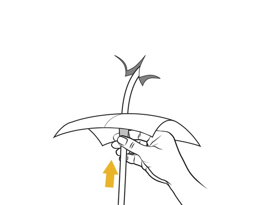 Illustration einer Hand, die einen Pflanzstab nach oben schiebt, um eine Pflanze zu stützen.