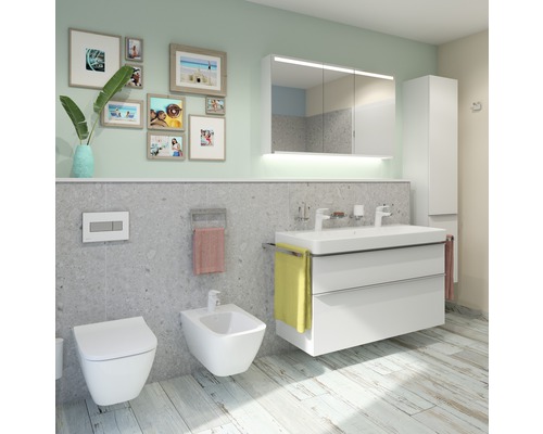 Modernes Badezimmer mit Toilette, Bidet, Waschtischunterschrank und Spiegelschrank