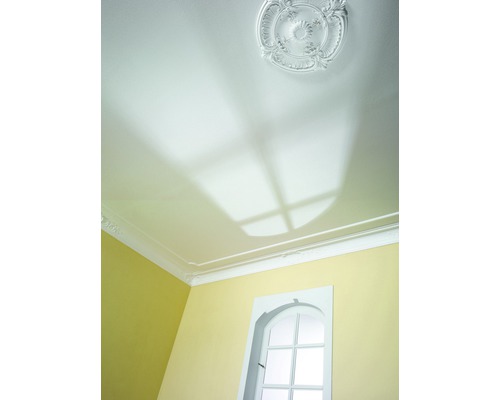 Zimmerdecke mit Stuckrosette und Zierleisten