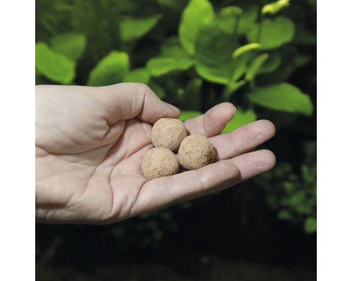 Hand hält Düngekugeln für Aquarienpflanzen
