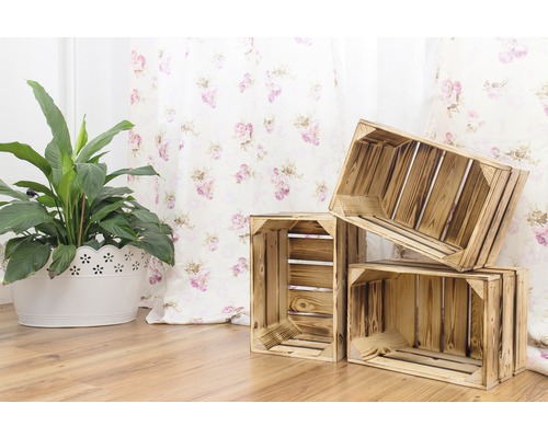 Dekorative Holzstapelkisten neben einer Pflanze im Topf