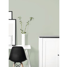 Premium Wandfarbe Style Color SELECTION 03 konservierungsmittelfrei Kraft des Bambus 2,5 L
