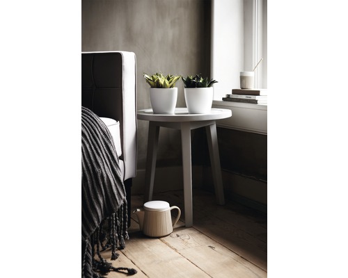 Wohnzimmerszene mit Beistelltisch, Zimmerpflanzen und Dekoration