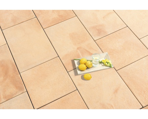 Terrassenplatten aus Stein mit Zitronen und Getränk auf einem Tablett