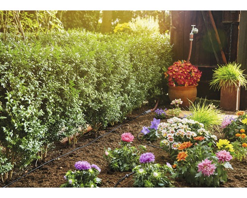 Gartenbewässerungssystem mit Pflanzen und Hecke im Garten