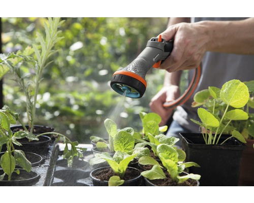 Gartenbewässerung mit einer Gartenausstattung Gartenspritze für Setzlinge in Töpfen.