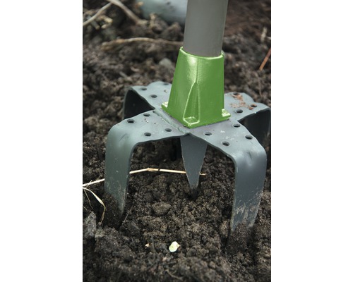 Detailaufnahme eines Bodens mit einem Unkrautstecher