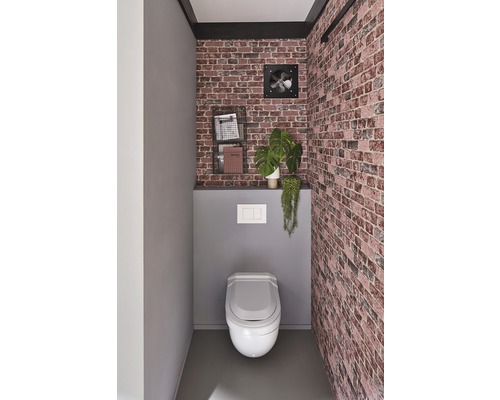 Modernes Gäste WC mit Toilette, Wandverkleidung in Steinoptik, Regal und Zimmerpflanzen