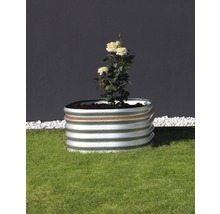 Hochbeet aus Metall mit Rosenpflanze auf Rasen