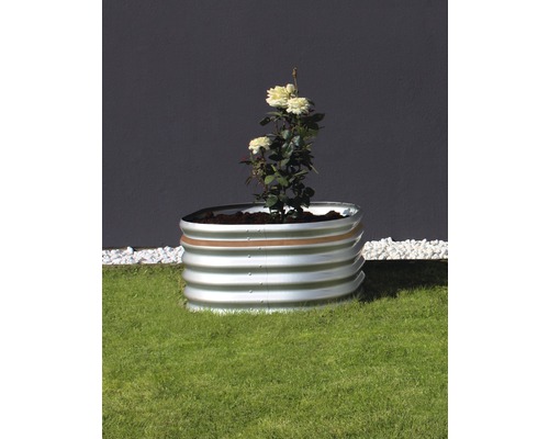 Hochbeet aus Metall mit Rosenpflanze auf Rasen