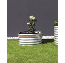Hochbeet aus Metall mit Rose im Garten