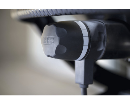 Weber Logo am Regler eines Grills