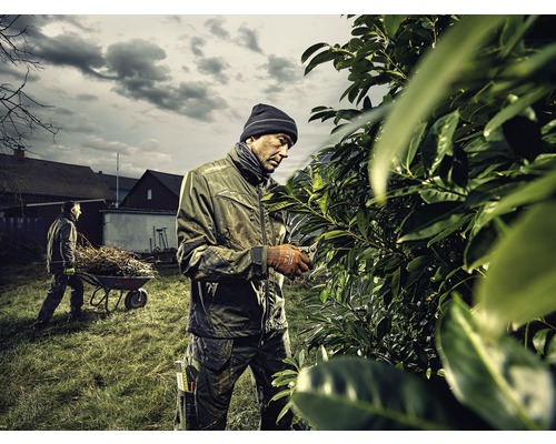 Gärtner schneidet Hecke mit Gartenschere, ein weiterer Gärtner transportiert Grünschnitt mit einer Schubkarre ab