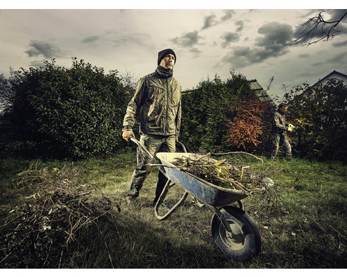 Mann schiebt Schubkarre mit Gartenabfällen im Garten