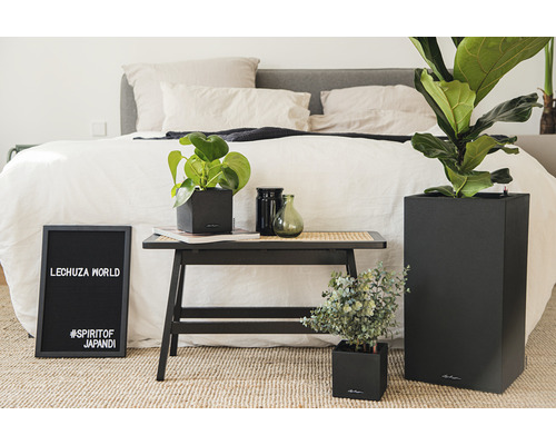 Dekorative Zimmerpflanzen in Pflanzgefäßen von Lechuza neben einem Bett.