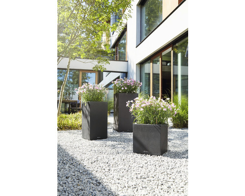 Drei Pflanzkübel mit Blumen im Garten vor einem modernen Haus