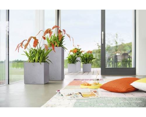 Zimmeransicht mit Pflanzen in quadratischen Übertöpfen