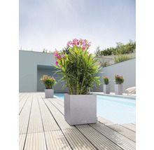 Quadratische Pflanzgefäße mit blühenden Pflanzen neben einem Pool auf einer Holzterrasse