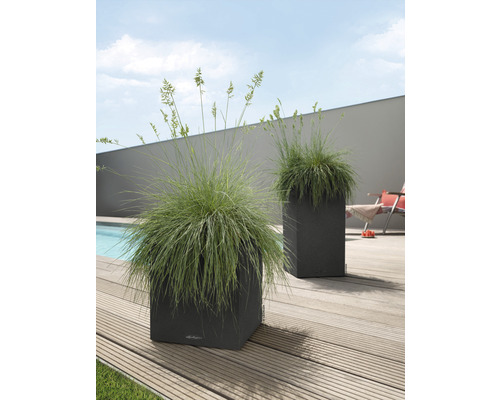 Zwei quadratische Pflanzkübel mit Gräsern auf einer Holzterrasse