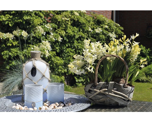 Dekorative Szene mit Glasflasche, Kerzen und Hyazinthen in einem Weidenkorb