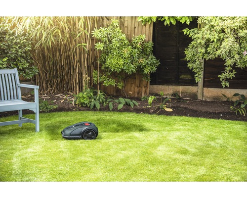 Szene im Garten mit Rasenmäherroboter auf Rasenfläche