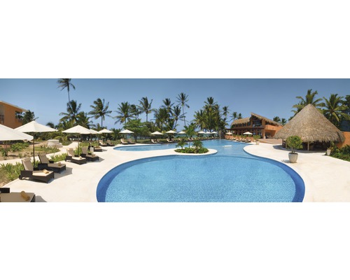 Außenbereich mit Pool, Liegestühlen und Palmen