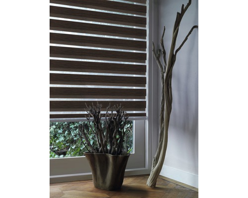 Innenraumansicht mit Fenster und braun gestreiftem Duo-Rollo, das für Lichtregulierung und Privatsphäre sorgt