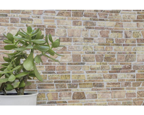 Dekorative Steinwand mit Topfpflanze im Innenbereich