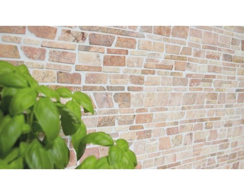 Wandgestaltung mit Steinoptik und Pflanze