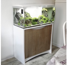 Aquarium mit Unterschrank, Steinen und Pflanzen