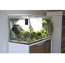 Aquarium mit Steinen und Pflanzen auf einem Unterschrank