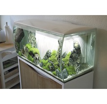 Aquarium mit Dekoration auf Unterschrank