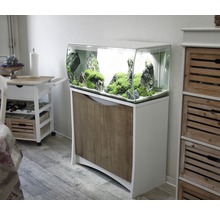 Eingerichtetes Aquarium mit Unterschrank im Wohnbereich