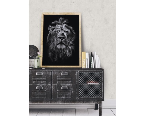 Dekoratives Löwenbild mit Rahmen auf Kommode mit Schubladen und Büchern