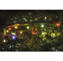 Dekorative Lichterkette mit farbigen Glühbirnen, die an einem Baum befestigt ist.