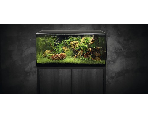 Aquarium mit Unterschrank, bepflanzt mit Wasserpflanzen und Steinen
