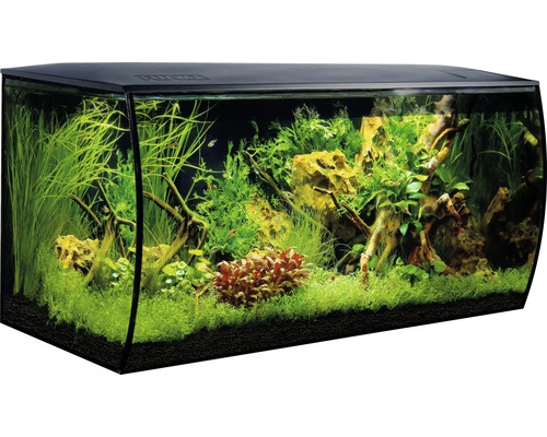 Aquarium Fluval Flex 123 l inkl. LED-Beleuchtung, Filter, Schaumstoffunterlage ohne Unterschrank ca. 82 x 39 x 40cm, gebogene Frotscheibe, schwarz