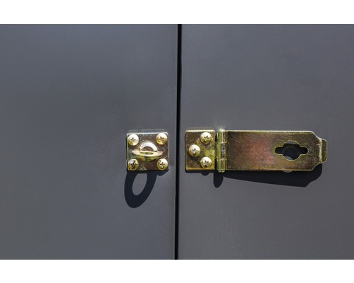 Schlossfalle und Öse zur Sicherung von Türen