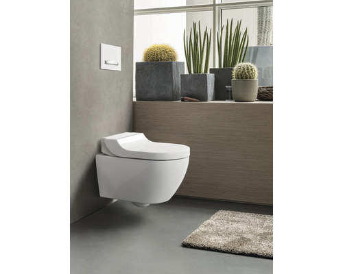 Wandhängendes Dusch-WC im Badezimmer mit Pflanzen
