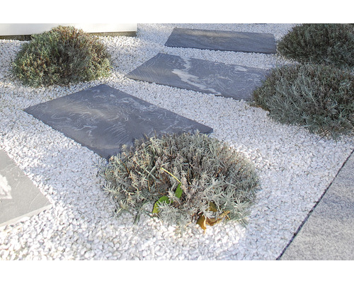 Gartenweg mit grauen Trittplatten und weißen Zierkieseln