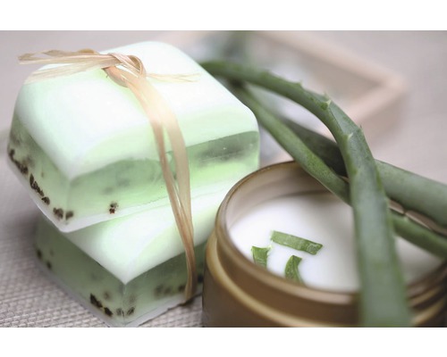 Zwei Seifenstücke mit Aloe Vera und einer Dose Creme mit Aloe Vera