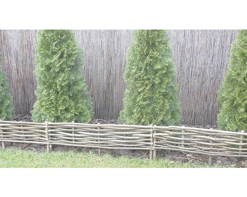 Gartenszene mit Flechtzaun und Thujahecke