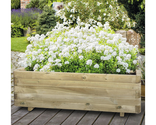 Holzpflanzkasten mit weißen Blüten im Garten